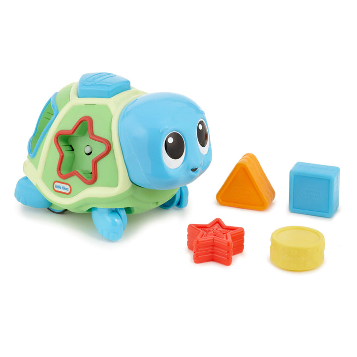 Toy turtle with shape sorting blocks on a white background