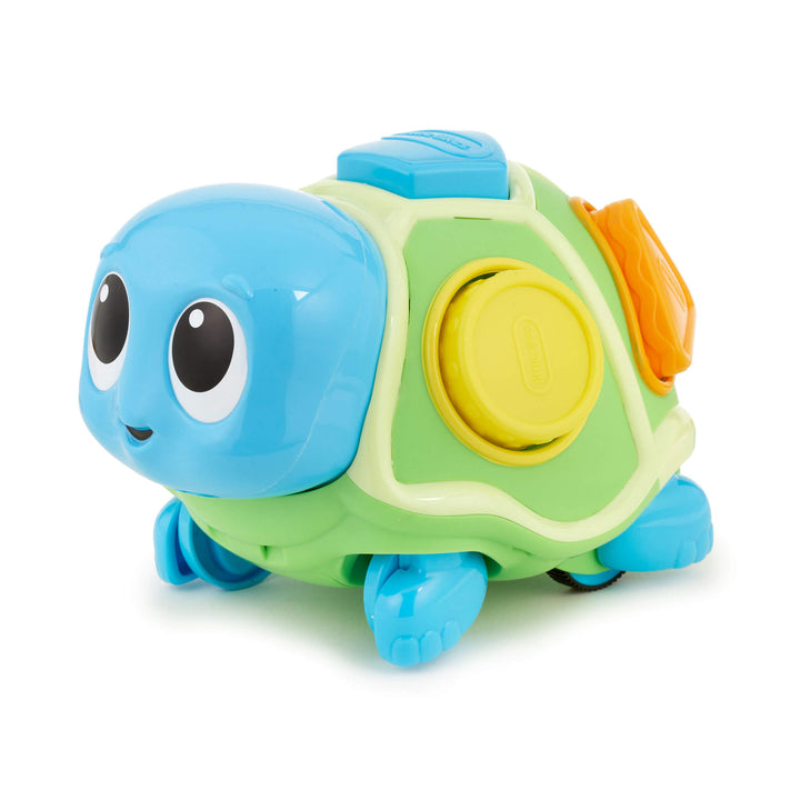 Toy turtle with a green shell on a white background