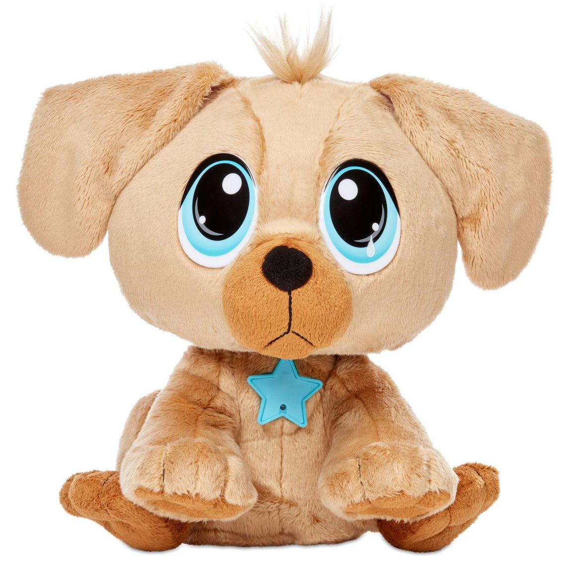 Present Pets, Glitter Puppy Interactive Surprise Plush Toy Pet with Over  100 Sounds & Actions (Style May Vary), Girls Gifts, Kids Toys for Girls