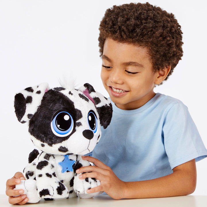 Boy with the stuffed dog