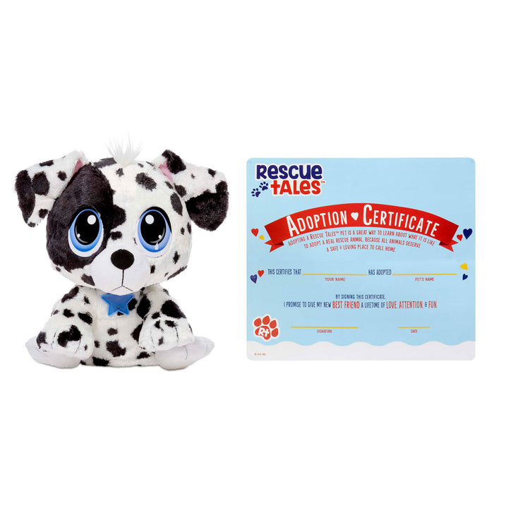 Dalmatian with adoption certificate