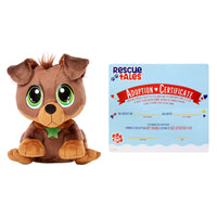 Rottweiler with adoption certificate